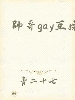帅哥gay互操