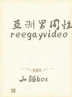 亚洲男同性恋freegayvideo
