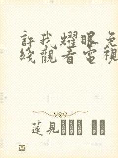 许我耀眼免费在线观看电视剧