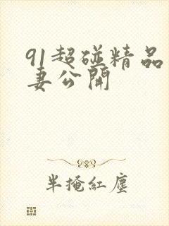 91超碰精品人妻公开
