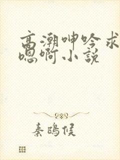 高潮呻吟求饶h嗯啊小说