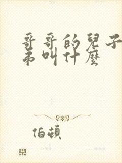 哥哥的儿子叫弟弟叫什么