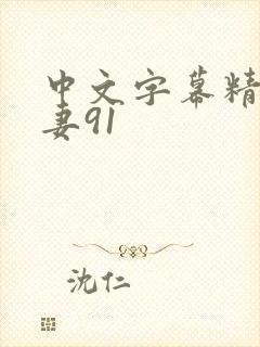 中文字幕精品人妻91