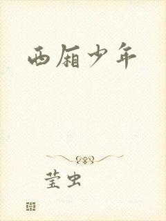 西厢少年