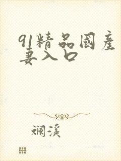 91精品国产人妻入口