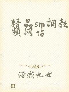 精品sm调教视频网站