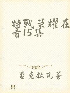 特战荣耀在线观看15集