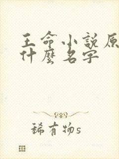 王命小说原著叫什么名字