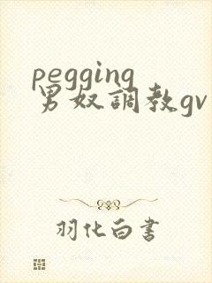 pegging男奴调教gv封面