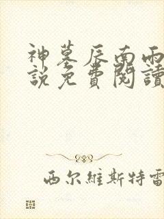 神墓辰南雨馨小说免费阅读免费