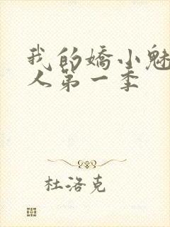 我的娇小魅魔仆人第一季