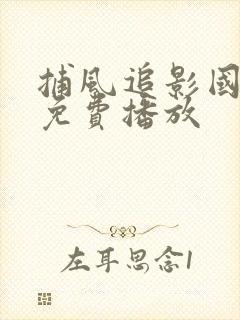 捕风追影国语版免费播放