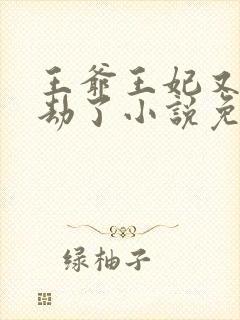 王爷王妃又去打劫了小说免费