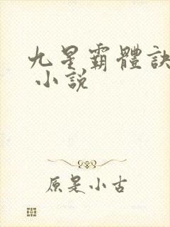 九星霸体诀龙尘 小说