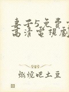 妻子5免费完整高清电视剧看封面