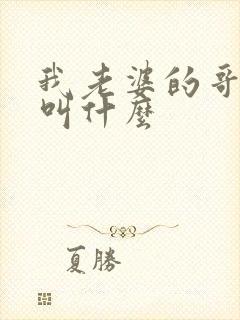 我老婆的哥哥我叫什么