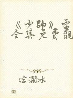 《少帅》电视剧全集免费观看高清
