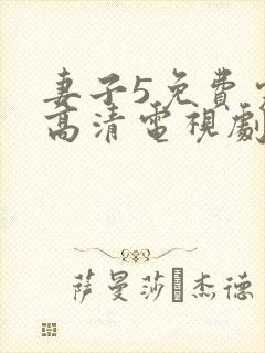 妻子5免费完整高清电视剧在线