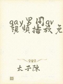 gay男同gv视频播放免费