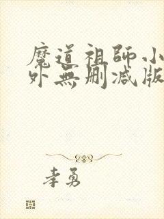 魔道祖师小说番外无删减版全文封面