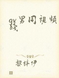 gv男同视频在线