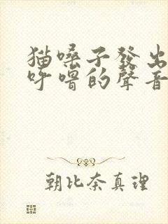猫嗓子发出呼噜呼噜的声音
