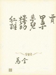 红楼梦里贾芸是谁的儿子