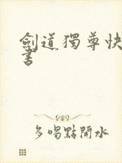 剑道独尊快眼看书封面