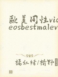 欧美同性videosbestmalevideos