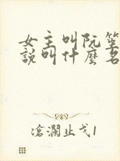 女主叫阮笙的小说叫什么名字