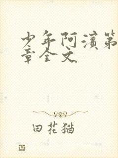 少年阿滨第13章全文