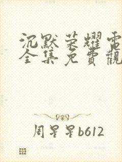 沉默荣耀电视剧全集免费观看