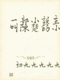 一部小说主人公叫陈楚的小说