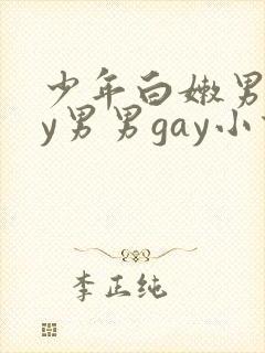 少年白嫩男gay男男gay小说