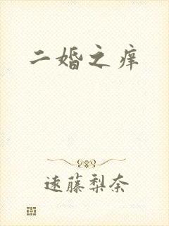 二婚之痒