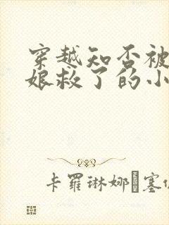 穿越知否被卫小娘救了的小说封面