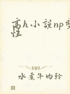 高h小说np双性