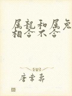 属龙和属兔的属相合不合