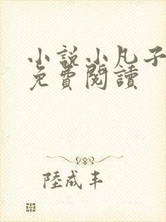 小说小凡子穿越免费阅读