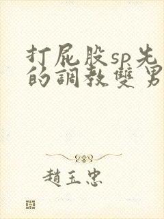 打屁股sp先生的调教双男主小说