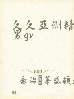 久久亚洲精品男男gv