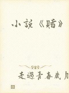 小说《赌》封面