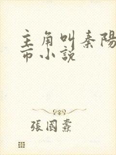 主角叫秦阳的都市小说封面