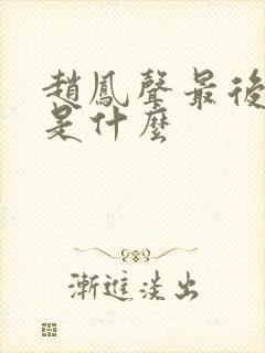 赵凤声最后结局是什么