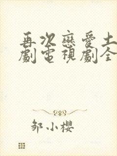 再次恋爱土耳其剧电视剧全集免费播放