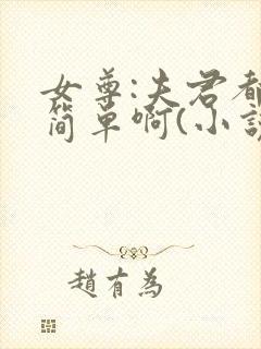 女尊:夫君都不简单啊(小说)封面
