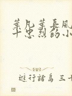叶凡叶长风一门十忠烈的小说名字封面
