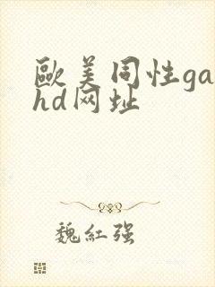 欧美同性gayhd网址