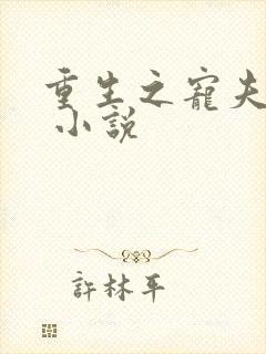 重生之宠夫之路 小说