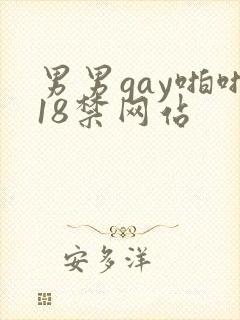 男男gay啪啪18禁网站